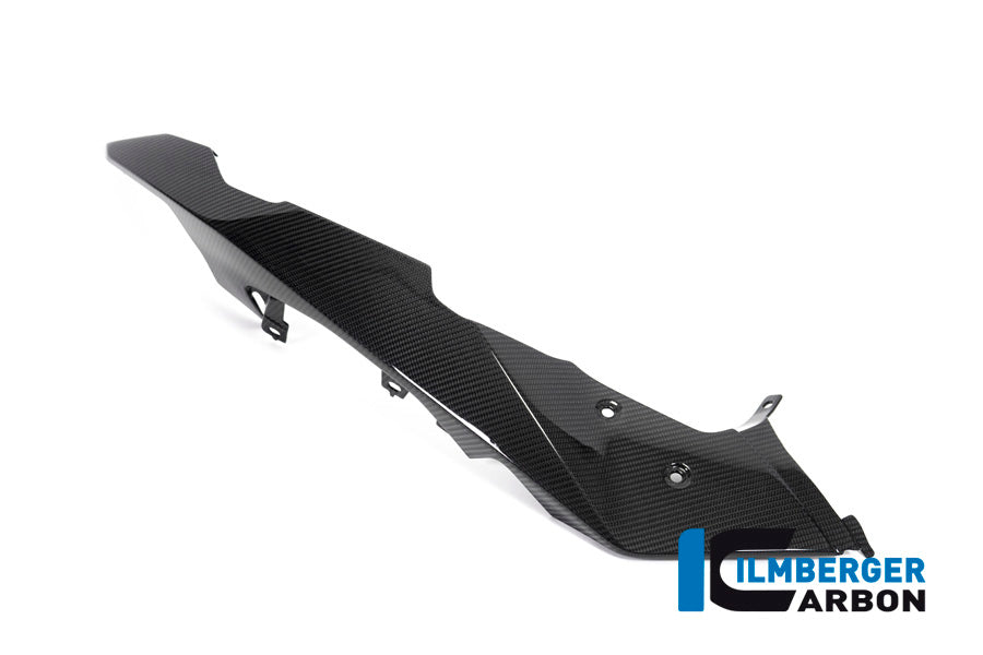 Ilmberger Carbon Fibre Left Upper Mudgard for BMW R 1250 GSA 2019-22