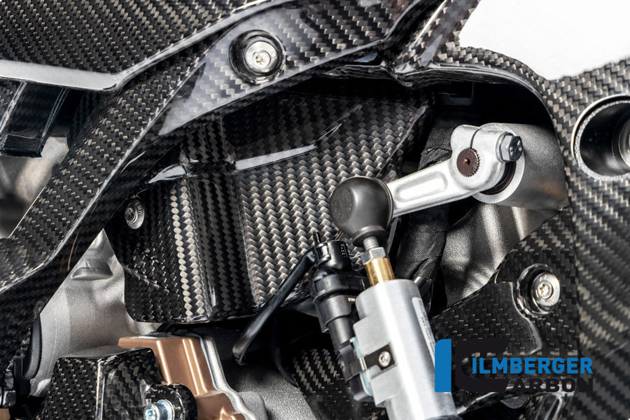 Ilmberger Carbon Fibre Electrical Cable Cover for BMW S 1000 R 2019-22