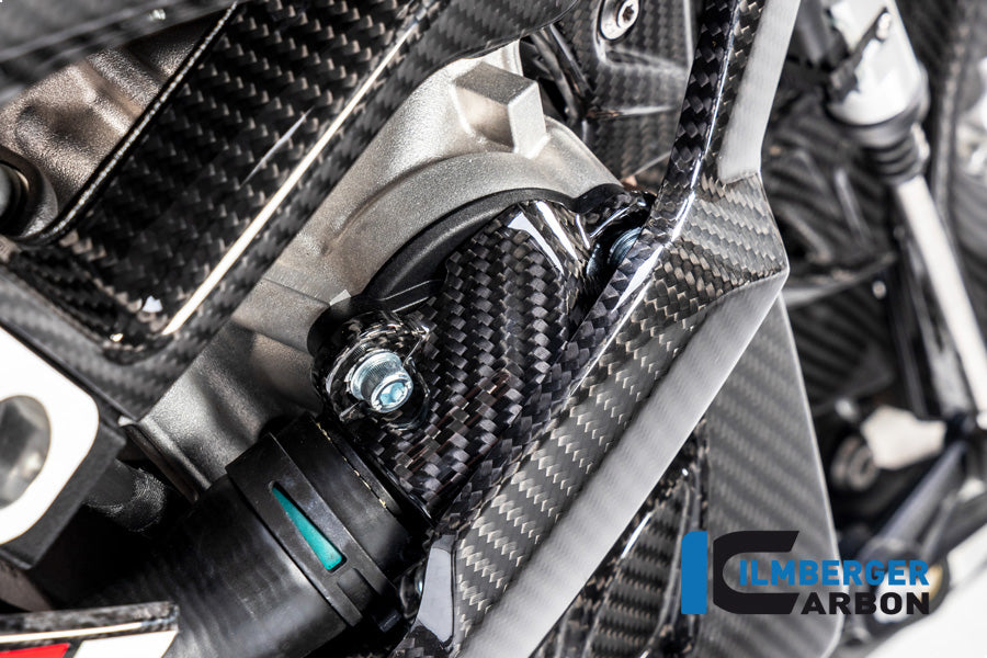 Ilmberger Carbon Fibre Water Pump Cover for BMW M 1000 RR