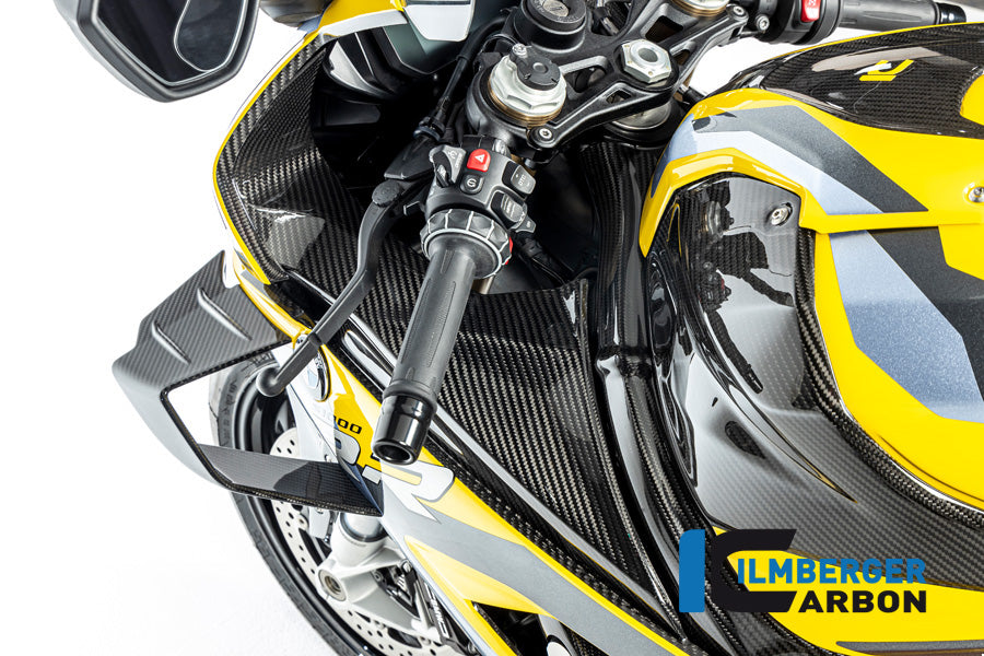 Ilmberger Carbon Fibre Left Badge Holder for BMW M 1000 RR