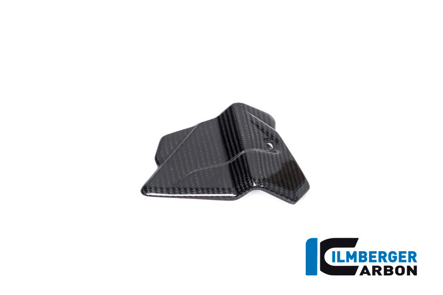 Ilmberger Carbon Fibre Electrical Cable Cover for BMW S 1000 R 2019-22