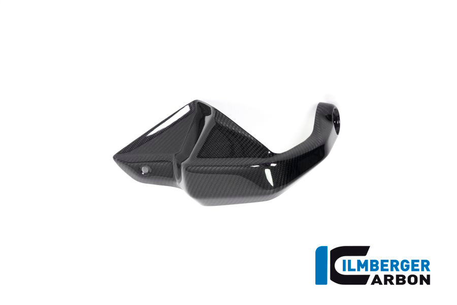 Ilmberger Carbon Fibre Left Hand Protector For BMW R 1250 GS 2019-22