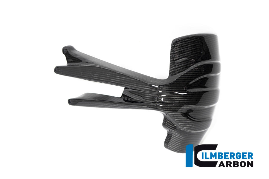 Ilmberger Carbon Fibre Rear Splash Guard For BMW R 1250 GS 2019-22