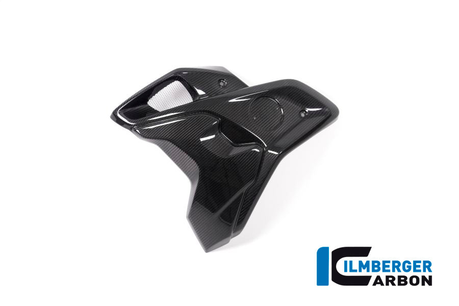 Ilmberger Carbon Fibre Left Airtube For BMW R 1250 GS 2019-22