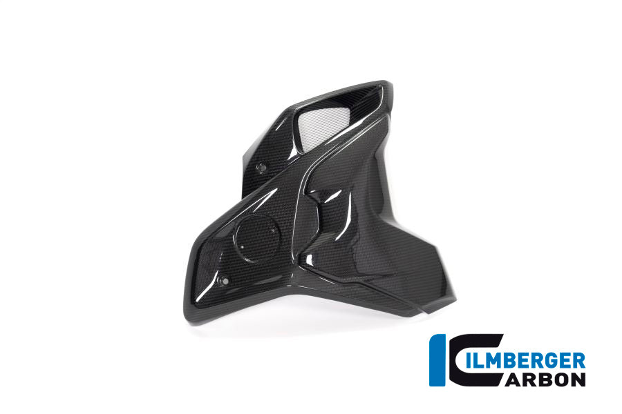 Ilmberger Carbon Fibre Right Airtube For BMW R 1250 GS 2019-22