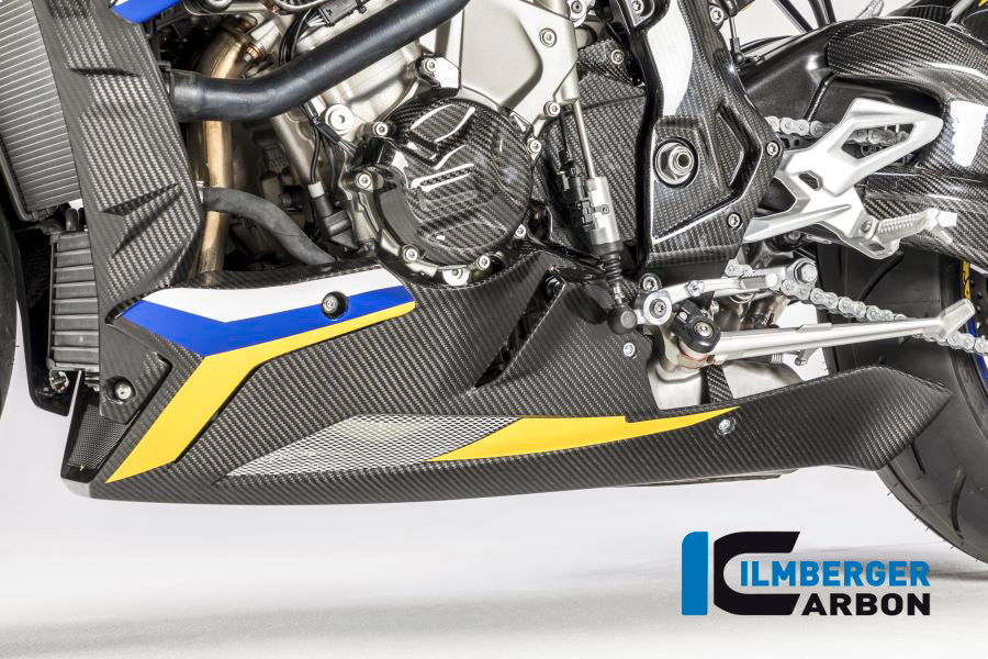 Ilmberger-Carbon Fiber Alternator Cover for BMW S1000RR 2017-2018