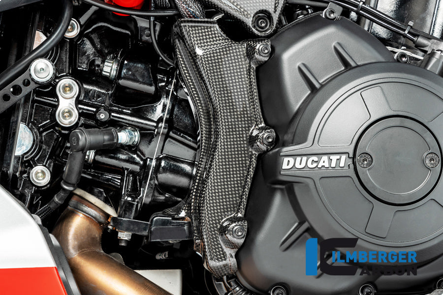 Ilmberger Carbon Fibre Electrical Cable Cover for Ducati Diavel 1260 2019-22
