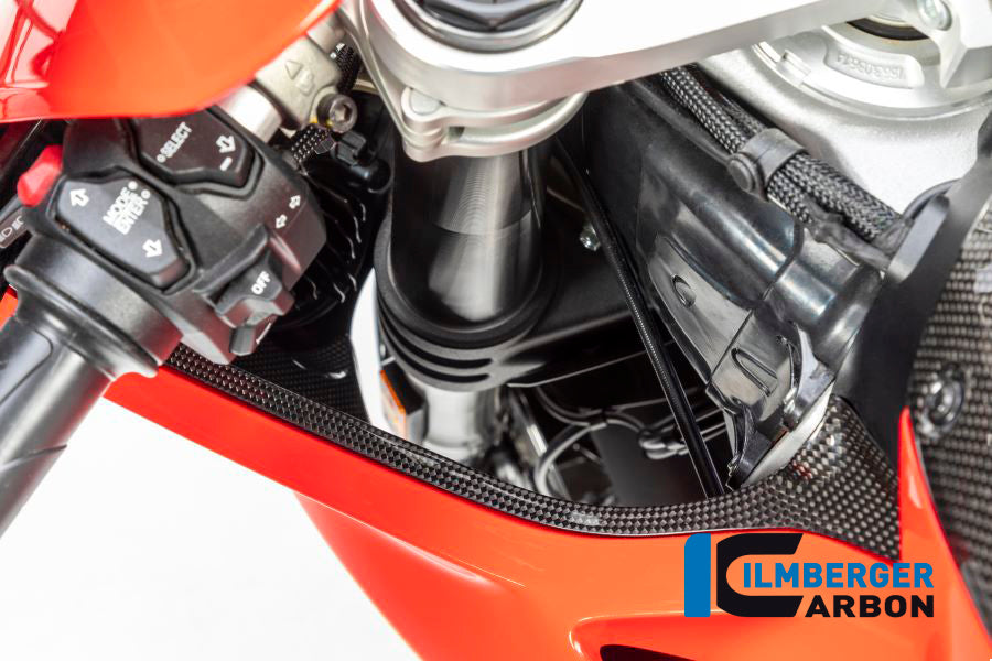 ILMBERGER LEFT AIR TUBE COVER (GLOSS) FOR DUCATI PANIGALE V4/V4S