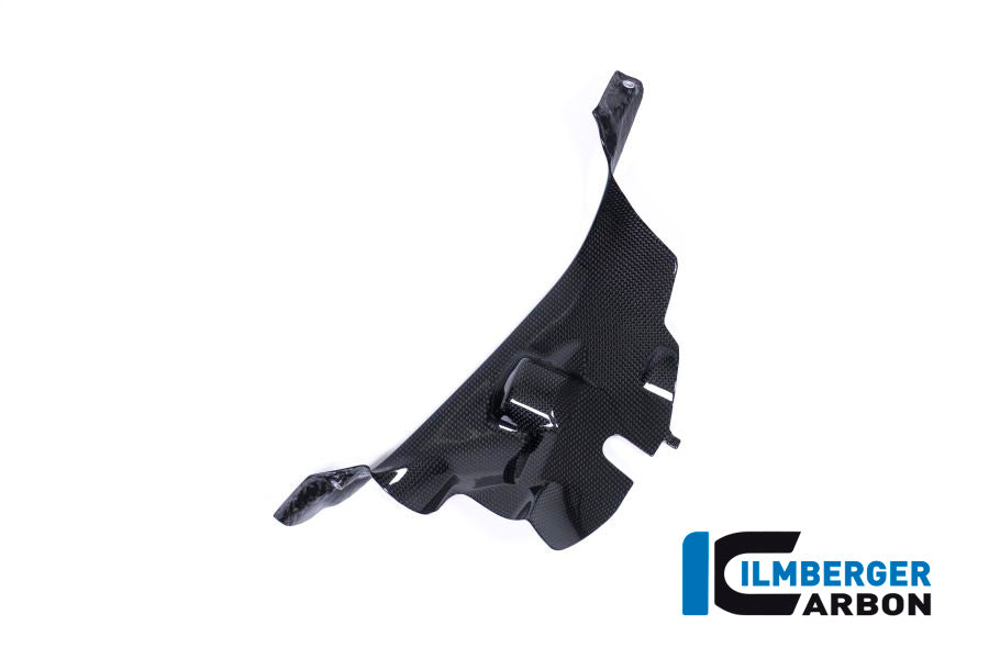ILMBERGER RIGHT AIR TUBE COVER (GLOSS) FOR DUCATI PANIGALE V4/V4S