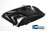 Ilmberger-Carbon Fiber Fairing Side Panel Right for BMW S1000RR 2017-2018