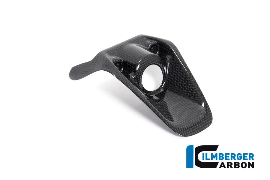 Ilmberger Carbon Fibre Ignition Switch Cover For Ducati Monster 821