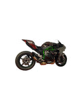 Austin Racing Slip-On Exhaust for Kawasaki Ninja H2